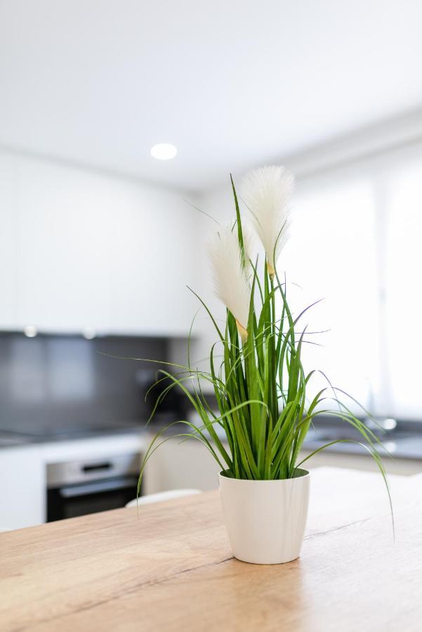 Trendy And Bright Apartment グラナダ エクステリア 写真